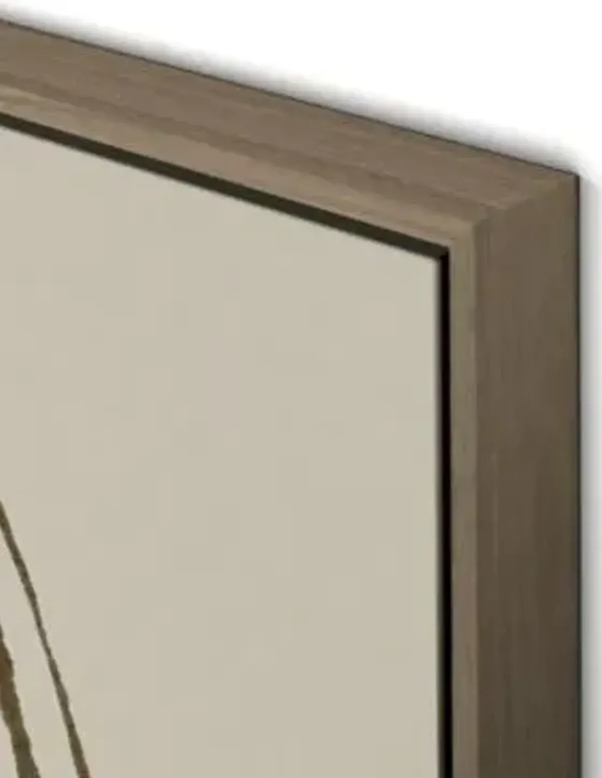 Swirl - Brown Framed Canvas Wall Art