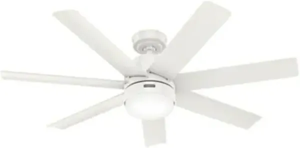 Brazos Outdoor Ceiling Fan with Light