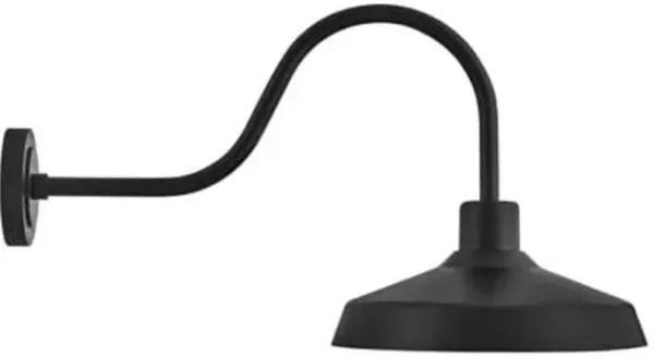 Forge Gooseneck Outdoor Wall Sconce