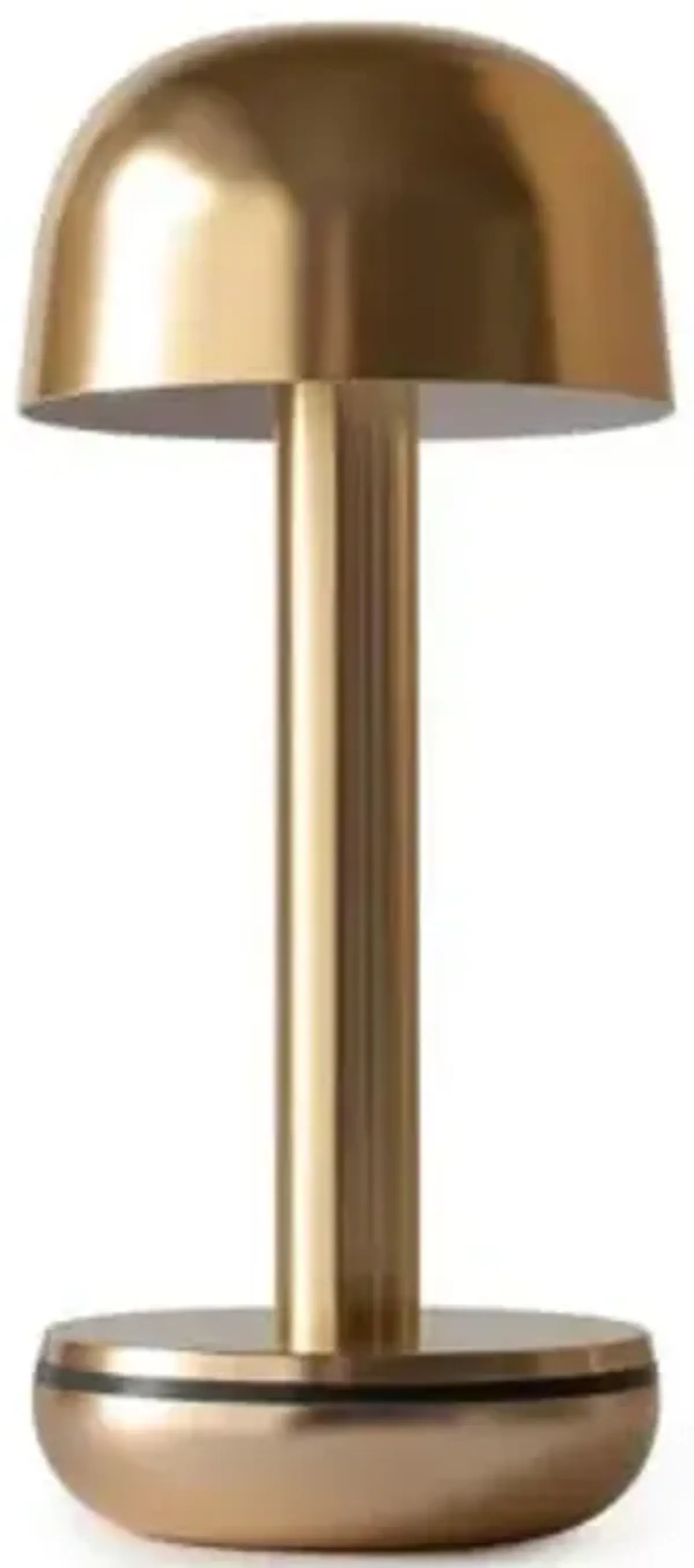 Two LED Table Lamp