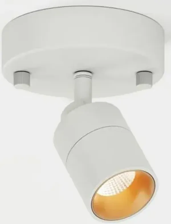 Ciero LED Spotlight