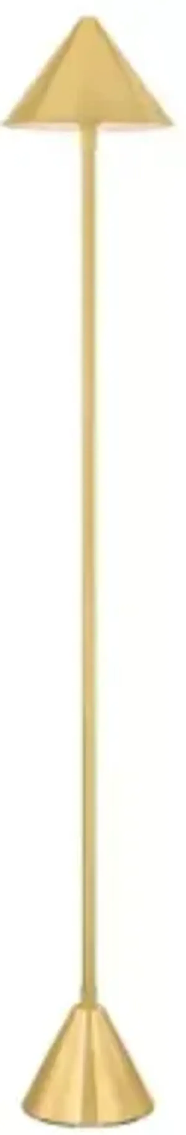 Salma Rechargeable LED Floor Lamp