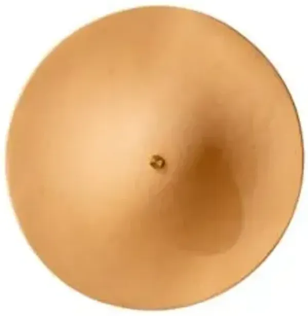 Alien Wall / Flushmount