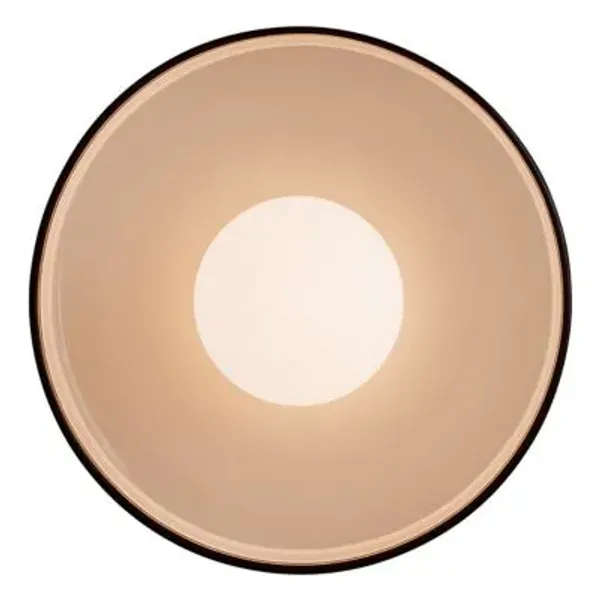 Disc Surface Outdoor Wall Sconce