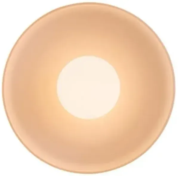 Disc Surface Outdoor Wall Sconce