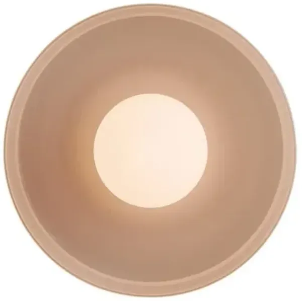 Disc Surface Outdoor Wall Sconce