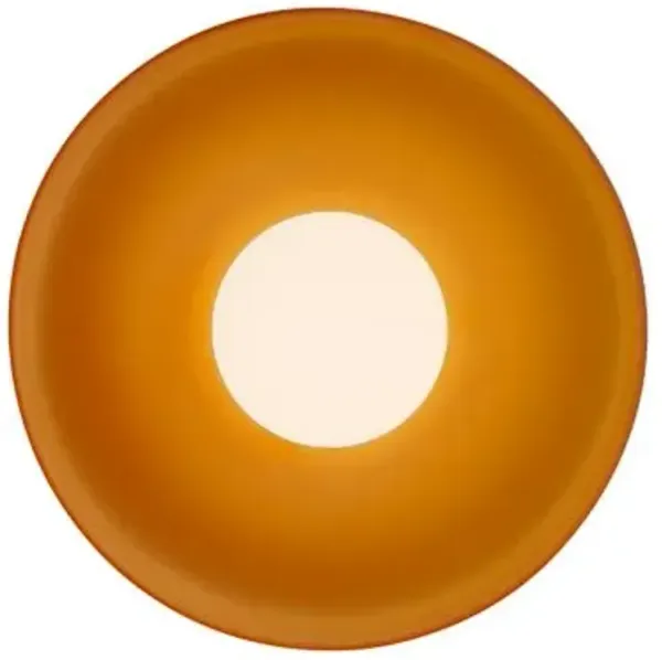 Disc Surface Outdoor Wall Sconce