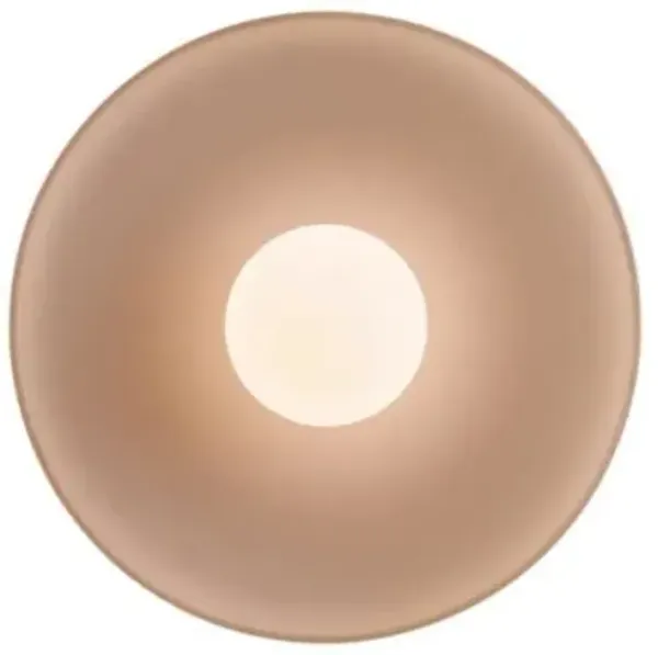 Disc Surface Outdoor Wall Sconce