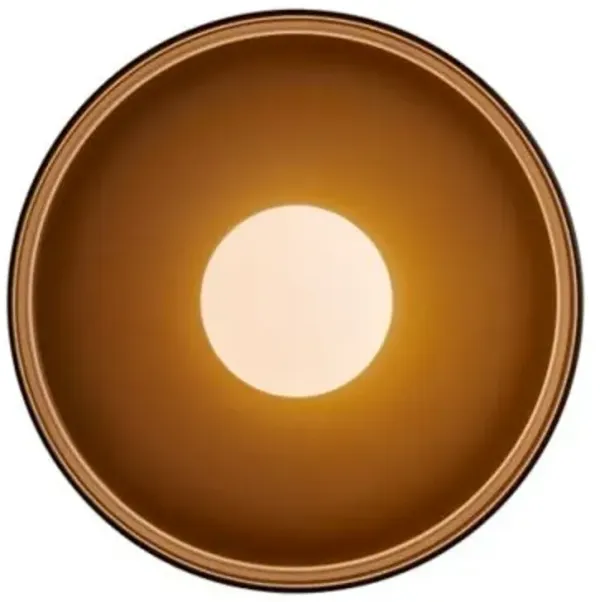 Disc Orb Wall / Flushmount