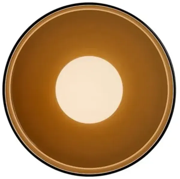 Disc Orb Wall / Flushmount