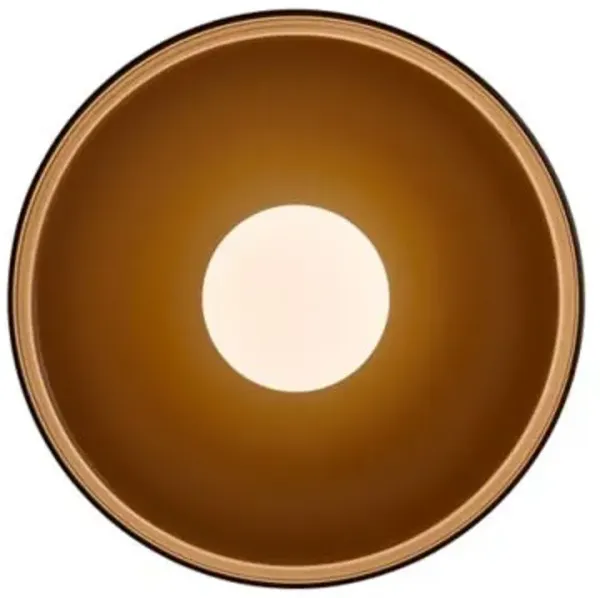 Disc Orb Wall / Flushmount