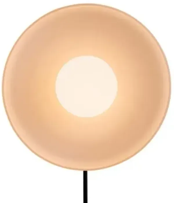 Disc Orb Wall / Flushmount