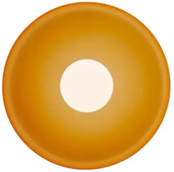 Disc Orb Wall / Flushmount
