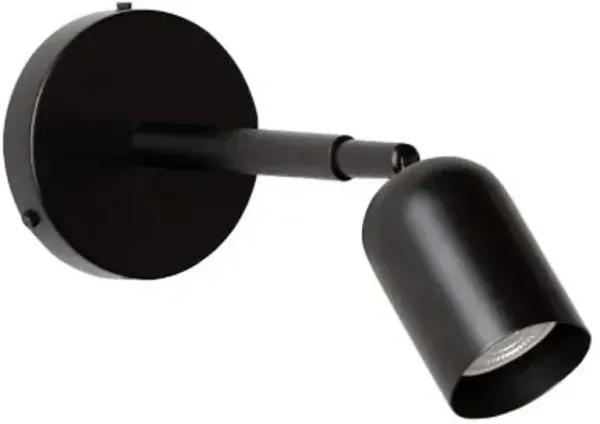 Spot Wall / Flushmount with Stem