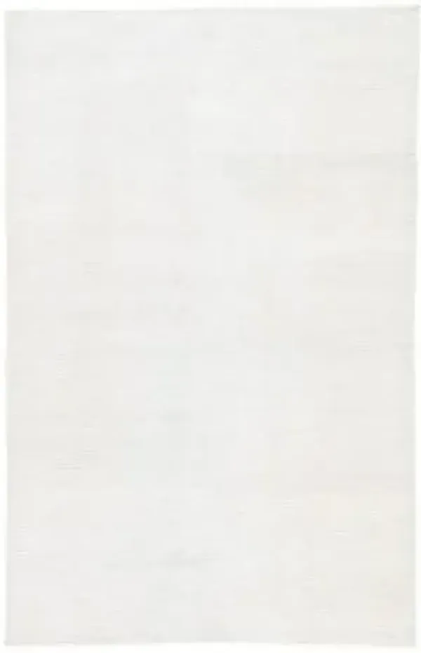 Limon Indoor/Outdoor Area Rug