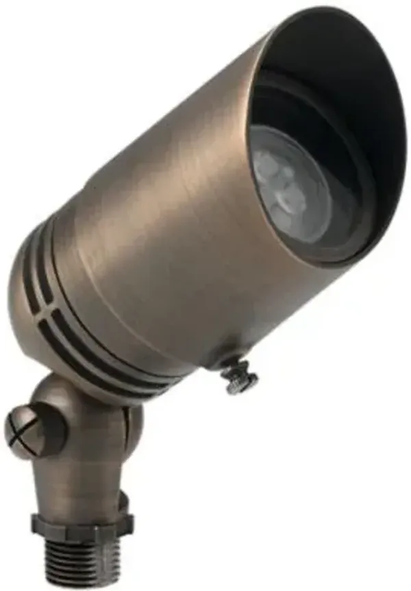 Centennial Brass Adjustable Spotlight