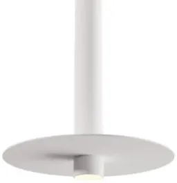 White With Paintable color