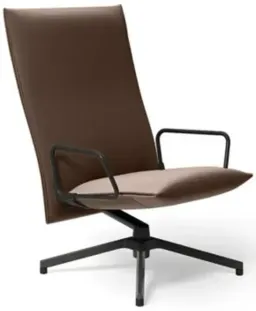 Volo Leather Stallion / Black Loop Arm With Dark Grey Painted Base color