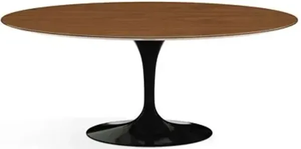 Saarinen Oval Dining Table