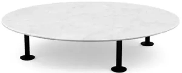 Low Grasshopper Coffee Table