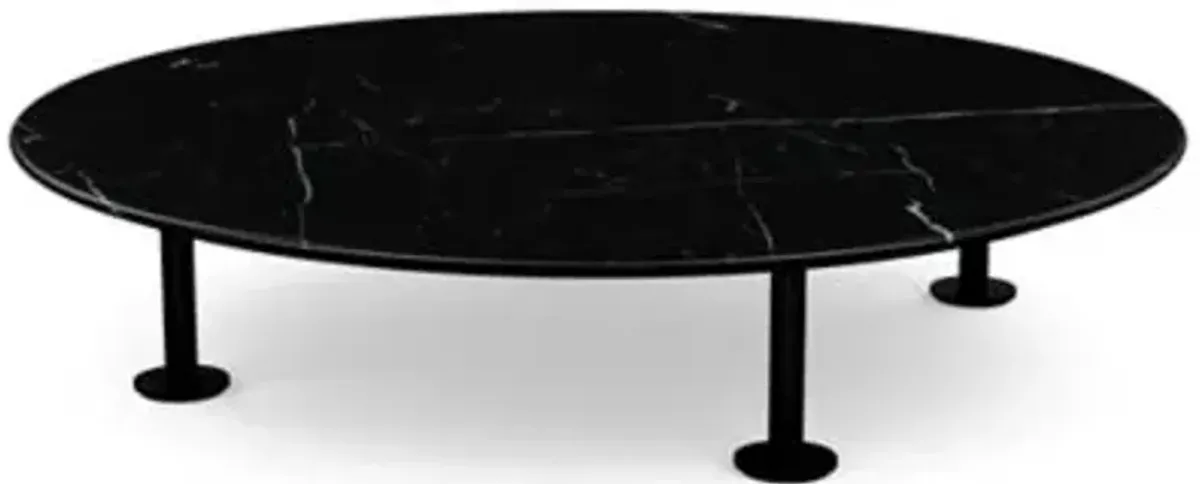 Low Grasshopper Coffee Table