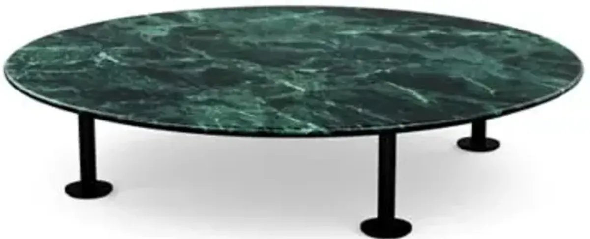 Low Grasshopper Coffee Table