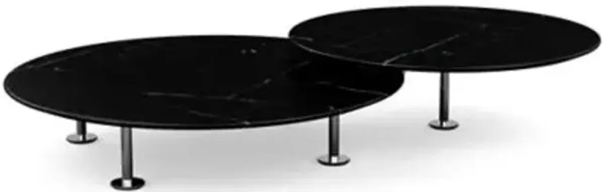 Low Grasshopper Coffee Table