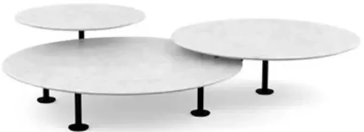 Low Grasshopper Coffee Table