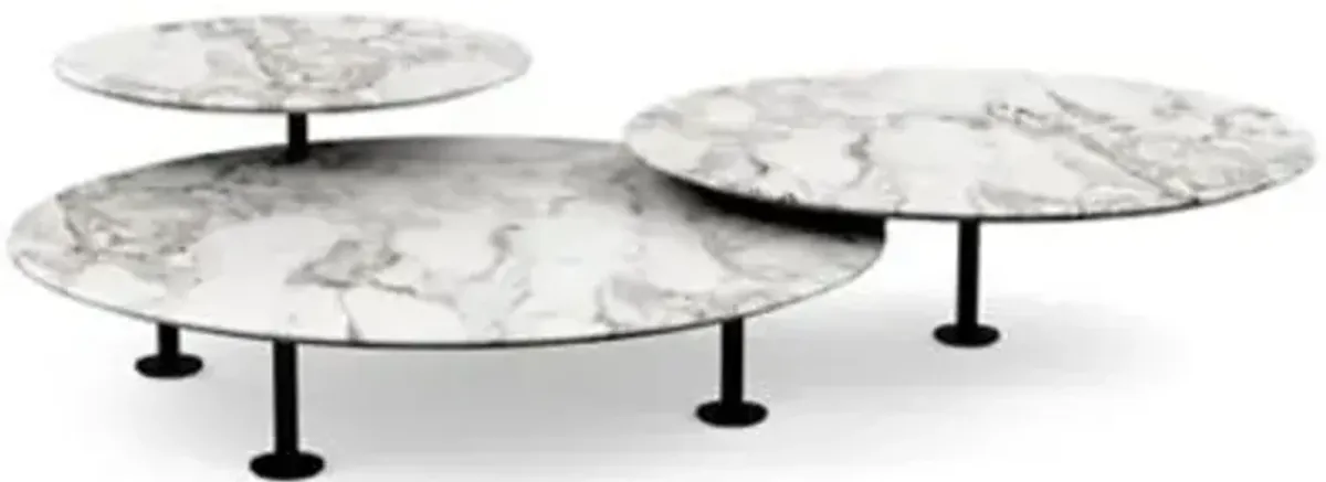 Low Grasshopper Coffee Table