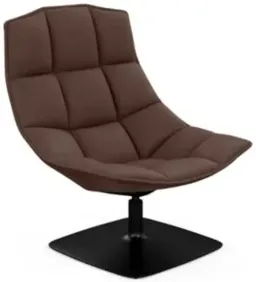 Stallion / Textured Black Paint color