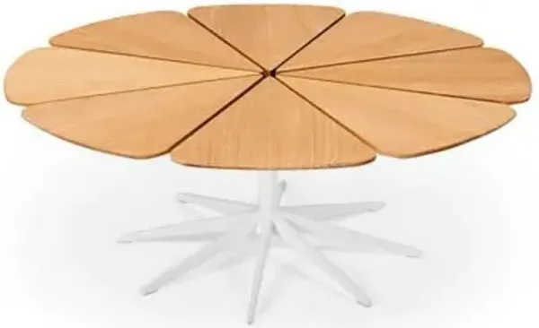 Petal Collection Coffee Table