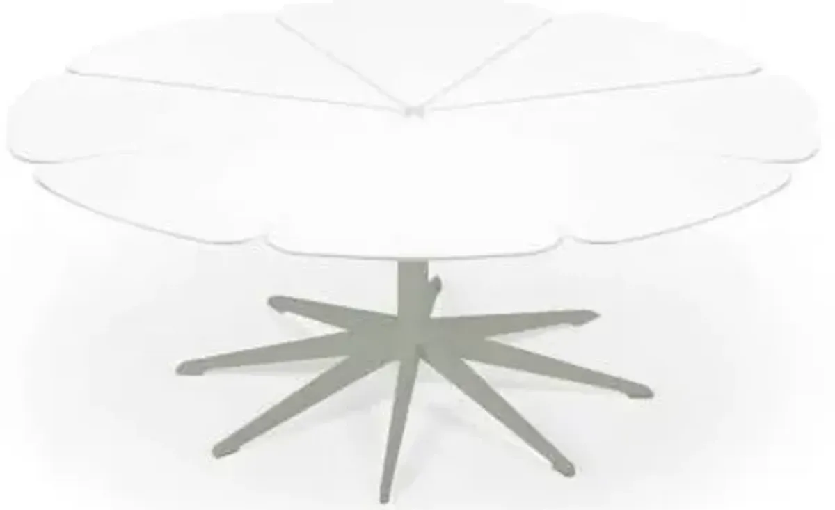 Petal Collection Coffee Table