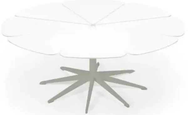 Petal Collection Coffee Table