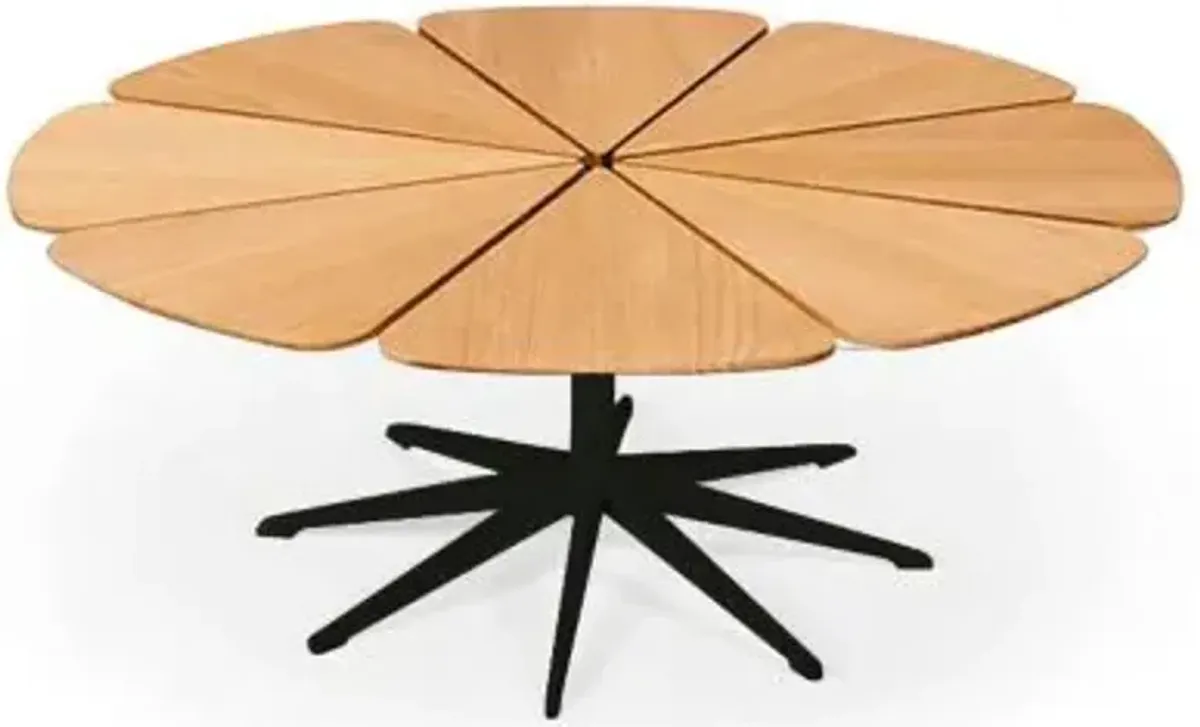 Petal Collection Coffee Table