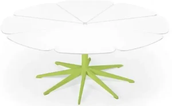 Petal Collection Coffee Table