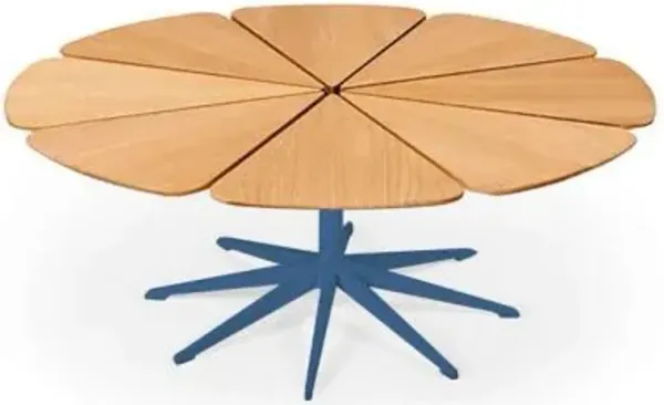 Petal Collection Coffee Table