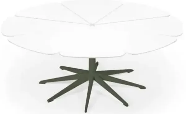 Petal Collection Coffee Table