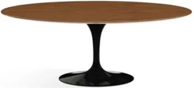 Saarinen Oval Dining Table