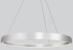 Brushed Silver color