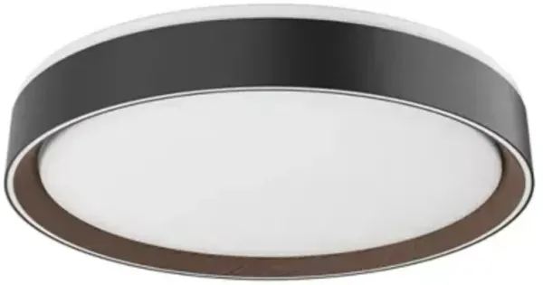 Essex LED Flushmount