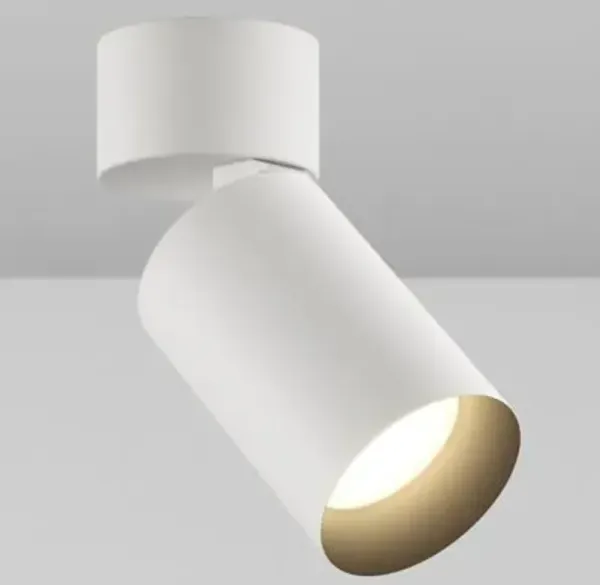 CY1 Adjustable Cylinder LED Spotlight