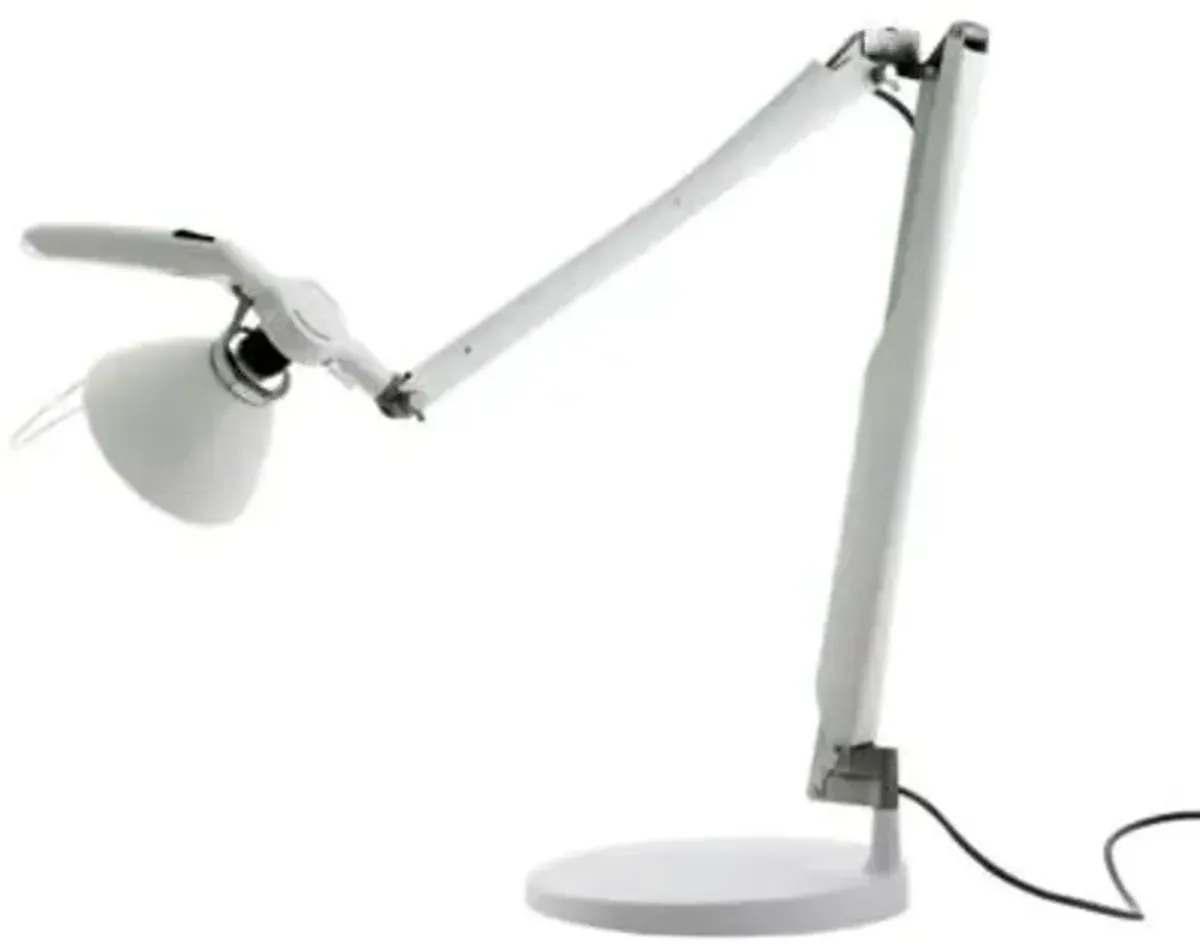 Fortebraccio Table Task