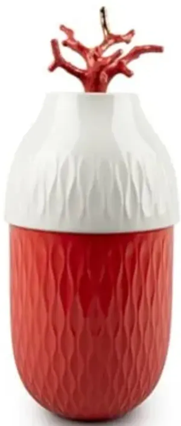 Coral Vase