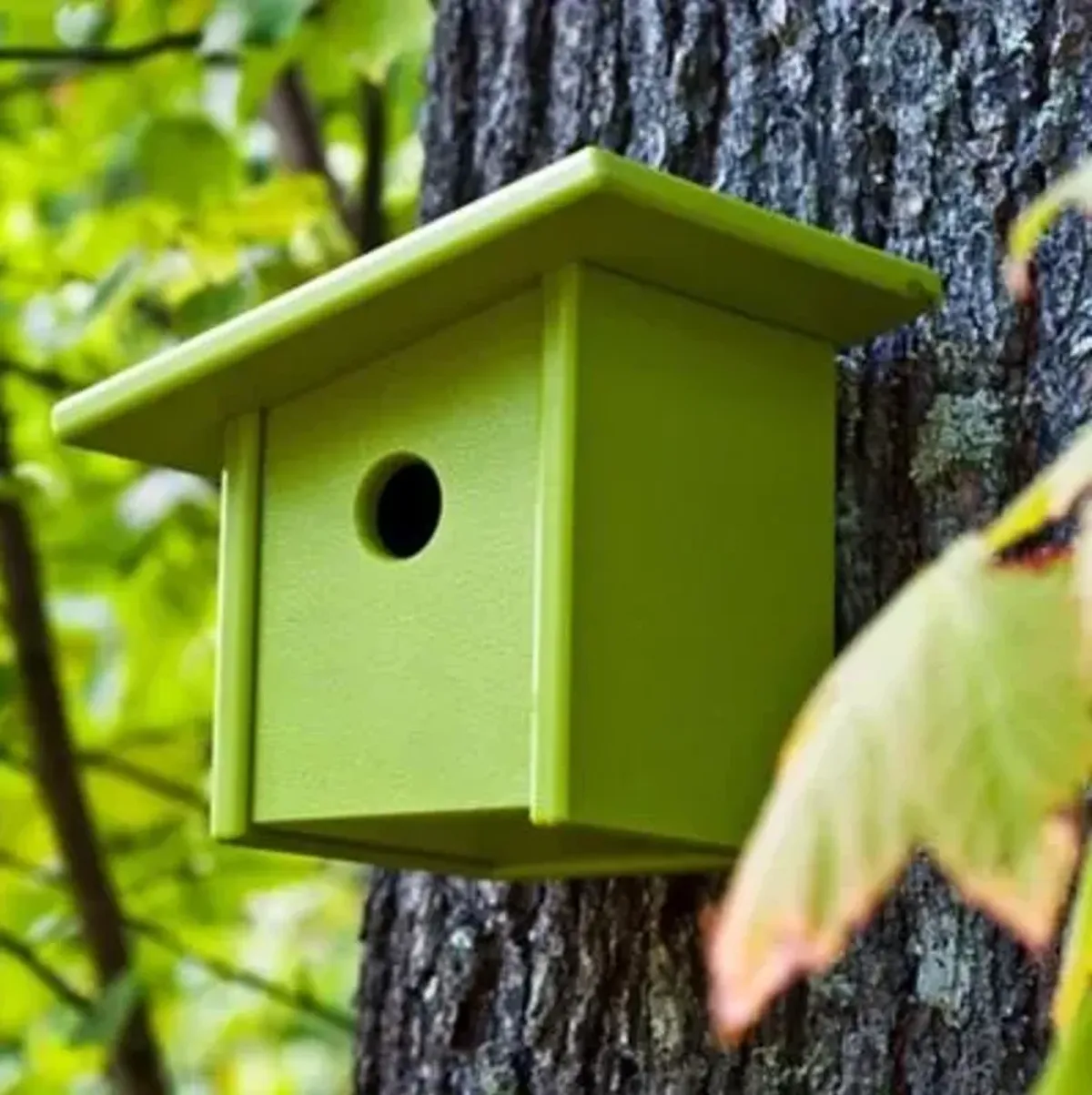 Pitch Birdhouse