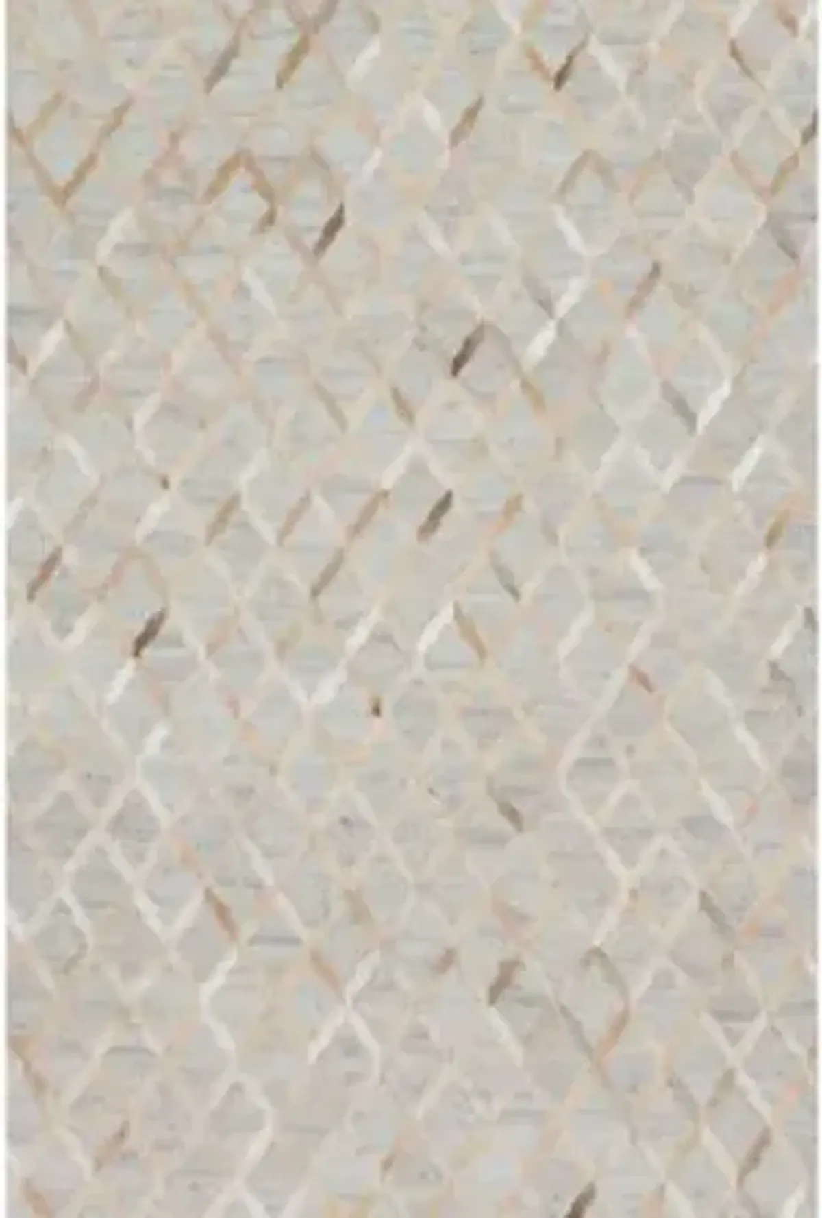 DORADO DB-04 Area Rug