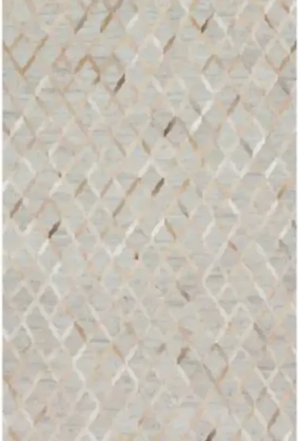 DORADO DB-04 Area Rug