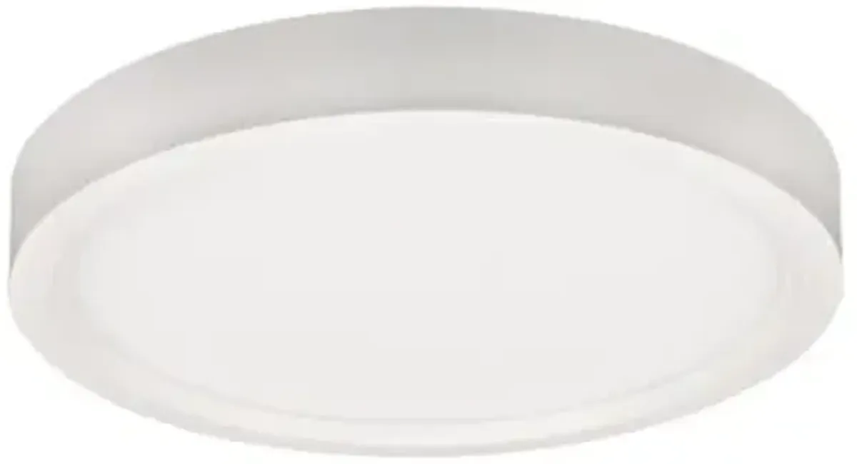 Edgelit Disk 5-Inch LED Surface Mount