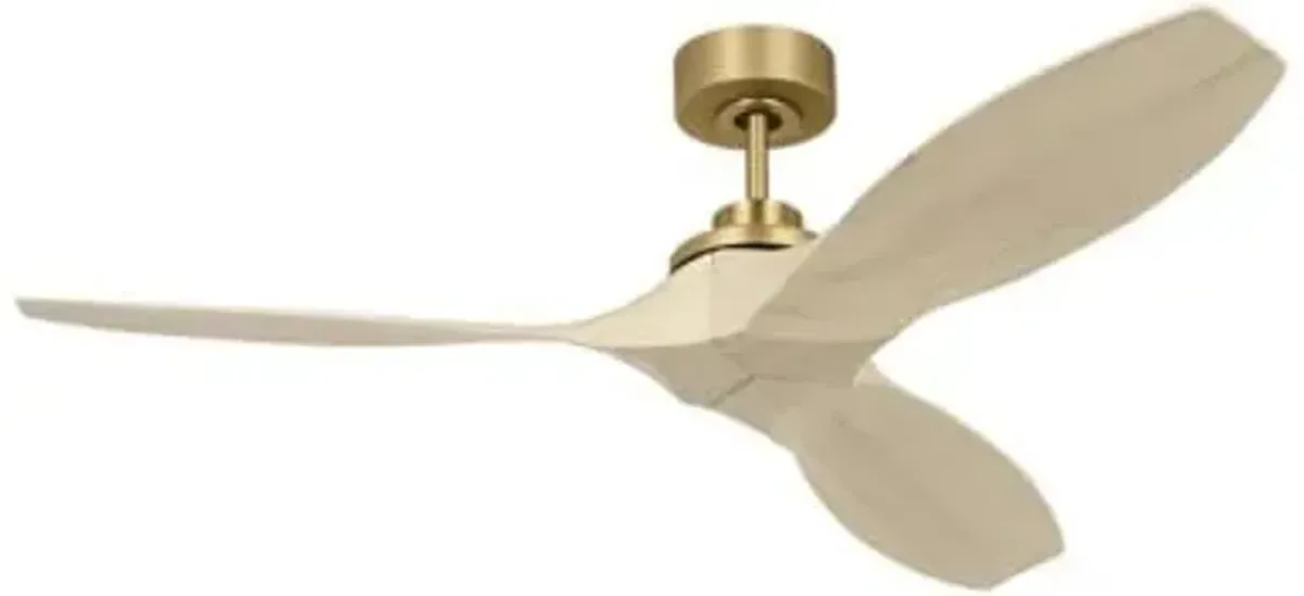 Collins Indoor/Outdoor Smart Ceiling Fan