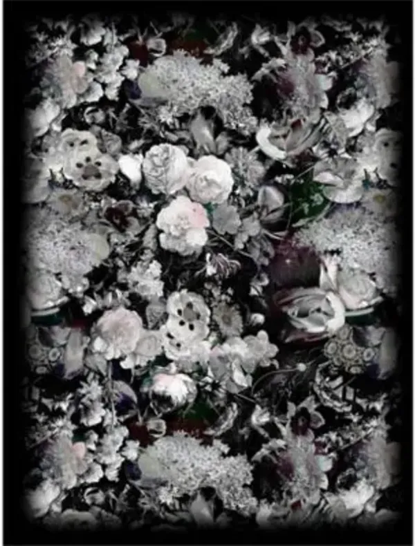 Eden Queen B&W Area Rug