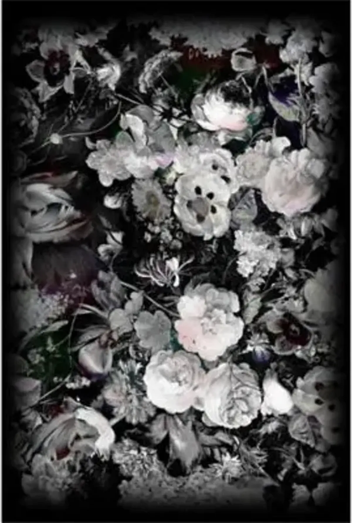 Eden Queen B&W Area Rug